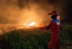 Empat Lahan Terbakar di Banyumas, Kebakaran Terjadi dalam Sehari