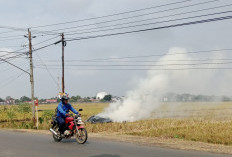 Kemarau Panjang, Warga Cilacap Diminta Cegah Kebakaran Lahan