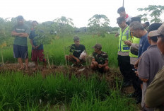 Buruh Tani Ditemukan Meninggal di Sawah Panican Purbalingga