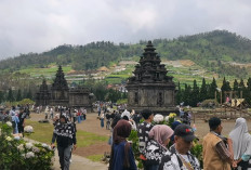 Wisata Dieng Membludak Saat Libur Lebaran 2026, Pengunjung Tembus 12 Ribu