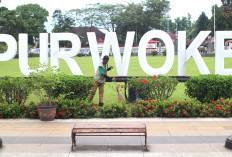 Perawatan Alun-alun Purwokerto Diperketat, Rp 600 Juta per Tahun untuk Rumput