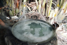 Jelang Ramadan, Harga Gula Nipah di Banyumas Merangkak Naik