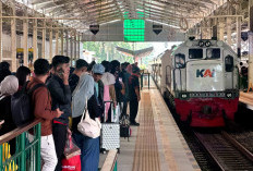 KAI Petakan 3 Titik Pantauan Jalur, Frontliner Dilatih Layani Penumpang Disabilitas