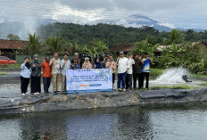 Dosen UMP Tingkatkan Produksi Budidaya Ikan Intensif di Pokdakan Berkah Randu Alas Cilongok