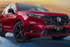 All New Honda CR-V 2025, SUV Keluarga yang Penuh Teknologi Canggih!