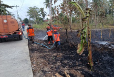 Lahan Seluas 0,4 Hektare di Jeruklegi Cilacap Terbakar, Penyebab Belum Diketahui