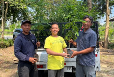 Bukan Sekadar Penghijauan, Menanam Pohon Jadi Cara Warga Banjarnegara Bertahan dari Bencana Longsor