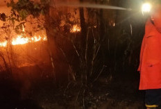 Karhutla Banyumas Tembus 59 Kejadian, Luas Lahan Terbakar Capai 55,5 Hektare