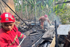 Sisa Api Tungku Bakar Dapur Rumah, Kebakaran di Tamansari Banyumas Rugikan Rp 10 Juta