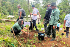 Kostajasa Tanam 30 Ribu Bibit