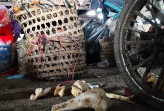 Sampah Tulang Ancam Ganggu Operasional TPST Sumpiuh Banyumas, Diprediksi Meningkat di Hari Ketiga Idul Adha