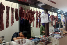 Harga Daging Sapi di Purwokerto Bertahan Rp160 Ribu, Jelang Idul Adha Pasokan Masih Aman