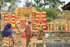 Warga Besuki Lumbir Rawat Tanaman Obat Mandiri, Jamu dan Pupuk Organik Diolah dari Bahan Alami
