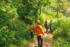 Pamit ke Hutan, Kakek Karsono Tak Kunjung Pulang