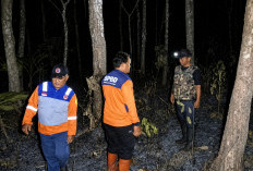 Dua Hektare Lahan Perhutani di Kawunganten Cilacap Terbakar, Penyebab Belum Diketahui