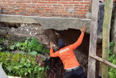 Hujan Deras Picu Longsor di 2 Kecamatan di Kebumen