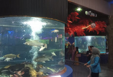 Pertama di Jateng, Purbasari Hadirkan Wahana Akuarium Tabung