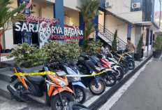 Berawal dari Penipuan Motor, Satreskrim Polresta Cilacap Temukan 9 Motor Diduga Hasil Kejahatan