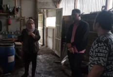 Magot BSF Jadi Andalan, Sampah Dapur Warga Kalibening Beri Manfaat Ganda dan Bernilai Ekonomis