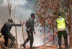 Kebakaran di Pengadegan Purbalingga, 5.000 Meter Persegi Area Limbah CV Sinar Sengon Mas Terbakar
