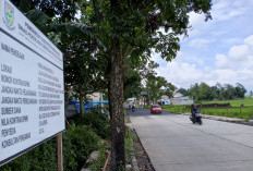 Sejumlah Ruas Jalan yang Diperbaiki Melalui Program Alus Dalane Tuntas 100 Persen dan Tepat Waktu