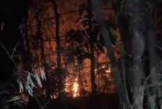 Karhutla Kembali Terjadi di Kertanegara Purbalingga, 5 Hektare Lahan di Alas Depok Terbakar