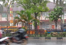 Curah Hujan Tinggi Dominasi Banyumas Raya, BMKG Prediksi Bertahan Hingga Awal Maret