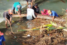 Material Kayu Penuhi Bendung Karanggedang Banyumas, Banjir Sungai Reja Dua Hari Berturut-Turut