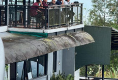 Pesona Safari See To Sky: Sensasi Keindahan Gunung Slamet dan Kuliner di Atas Awan