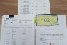 Modus Bisnis Sapi Telan Kerugian Rp600 Juta, Iming Untung Berakhir Buntung