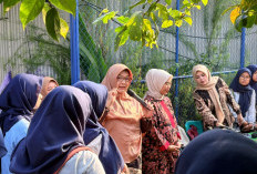 Mahasiswa FK UMP Lakukan Kunjungan Edukatif ke Kebun Kedokteran Herbal di Karangsari