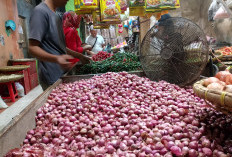 BPS Catat Inflasi Purwokerto Capai 0,14 Persen, Komoditas Pangan Mendominasi