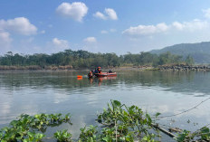 Korban Terakhir Ditemukan di Sungai Serayu, Narendra Meninggal Setelah Dicari Tim SAR di Kebasen Banyumas