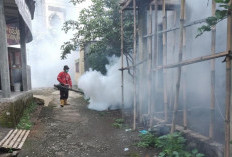 55 Kasus DBD Terjadi di Kabupaten Purbalingga Sepanjang 2025, Kematian Nihil