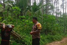 Kemarau Panjang Tingkatkan Risiko Karhutla, Warga Banyumas Diminta Tidak Memicu Api di Kawasan Hutan