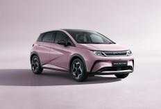 Baru Kenal BYD Dolphin? Ini Fakta Menarik yang Jarang Dibahas