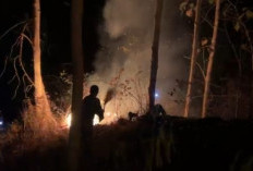 Kebun Jati Tiga Hektar Terbakar di Lumbir Banyumas, Api Dekati Permukiman Karanggayam
