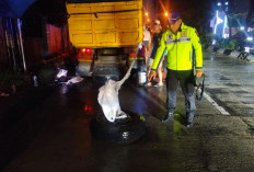 Hantam Truk Mogok di Jalan Gerilya Purwokerto, Pengendara Meninggal