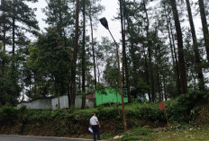 Banyak LPJU Jalur Wisata Mati, Dinhub Purbalingga Temukan 301 Titik Penerangan