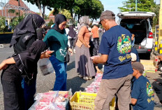 Harga Cabai Tembus Rp70 Ribu Per Kg, Petani Majalengka Banjarnegara Jual Murah dan Bagikan Bibit Gratis