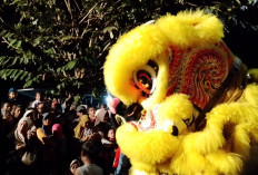 Antre Angpao di Mulut Barongsai, Atraksi Imlek Sedot Ribuan Warga Banyumas