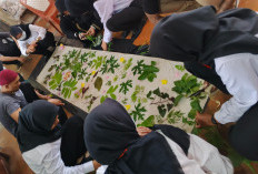 WBP Cilacap Olah Bahan Alam Jadi Produk Batik Ecoprint Bernilai Ekonomi