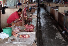 Harga Daging Sapi di Purbalingga Stabil Tinggi, Tembus Rp150 Ribu per Kilogram