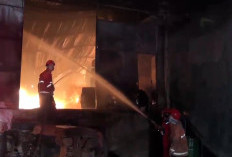 Api Pabrik Kayu Lapis di Ajibarang Membara 17 Jam, Kebakaran Menghanguskan Area Produksi PT ACS