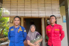 Damkar Evakuasi Kucing dari Sumur 8 Meter di Purwokerto, Laporan Warga Ditindak Cepat Petugas Rescue Banyumas