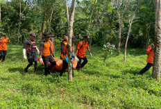 Korban Tenggelam di Sungai Kramacenil Ditemukan Meninggal