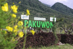 Lewat Program Desa BRILiaN, Desa Pajambon Kuningan Contoh Transformasi Ekonomi Desa Berbasis Potensi Lokal