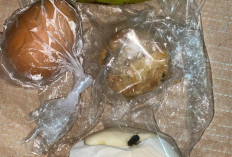 Ada Buah Busuk hingga Menu Dinilai Tak Sesuai Standar, Posko Gerindra Terima 5 Aduan MBG