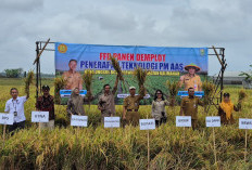 Panen Demplot PMAAS di Purbalingga Capai 9,4 Ton per Hektare, Benarkah Lebih Menguntungkan Petani?