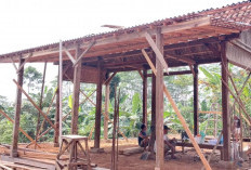 Balai Pertemuan Kampung Nopia Banyumas Tertunda, Terkendala Teknis dan Anggaran Swadaya
